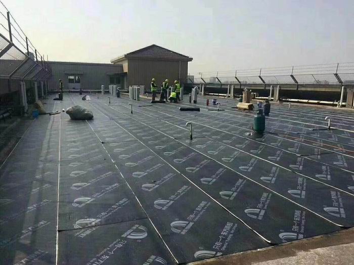 练塘镇楼顶防水
