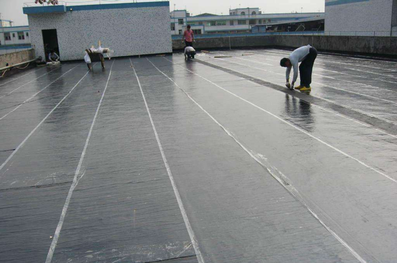 练塘镇屋面防水